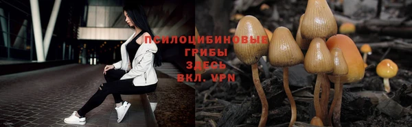 сатива Балабаново