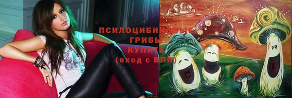 сатива Балабаново