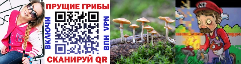 Псилоцибиновые грибы MAGIC MUSHROOMS  дарнет шоп  Каменск-Уральский 